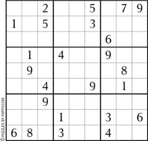 Sudoku Puzzle