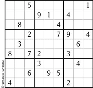 Sudoku Puzzle